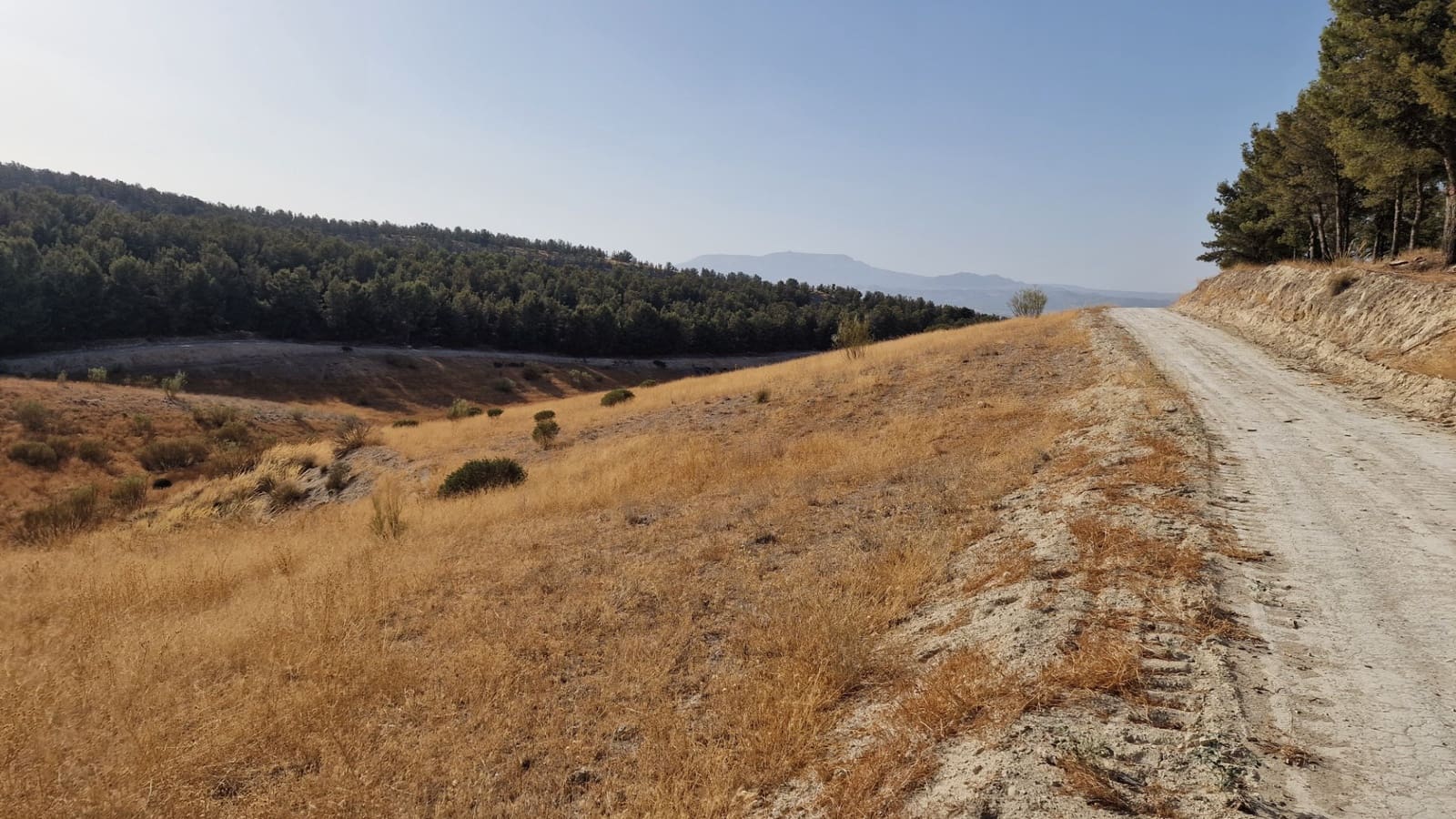 Grunde uden byggetilladelser til salg i Santa Fe - € 300.000 (Ref: 8950578)