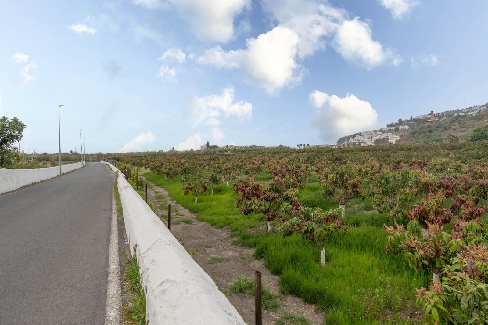 Byggetomt til salgs i Salobrena - € 2 000 000 (Ref: 8979086)