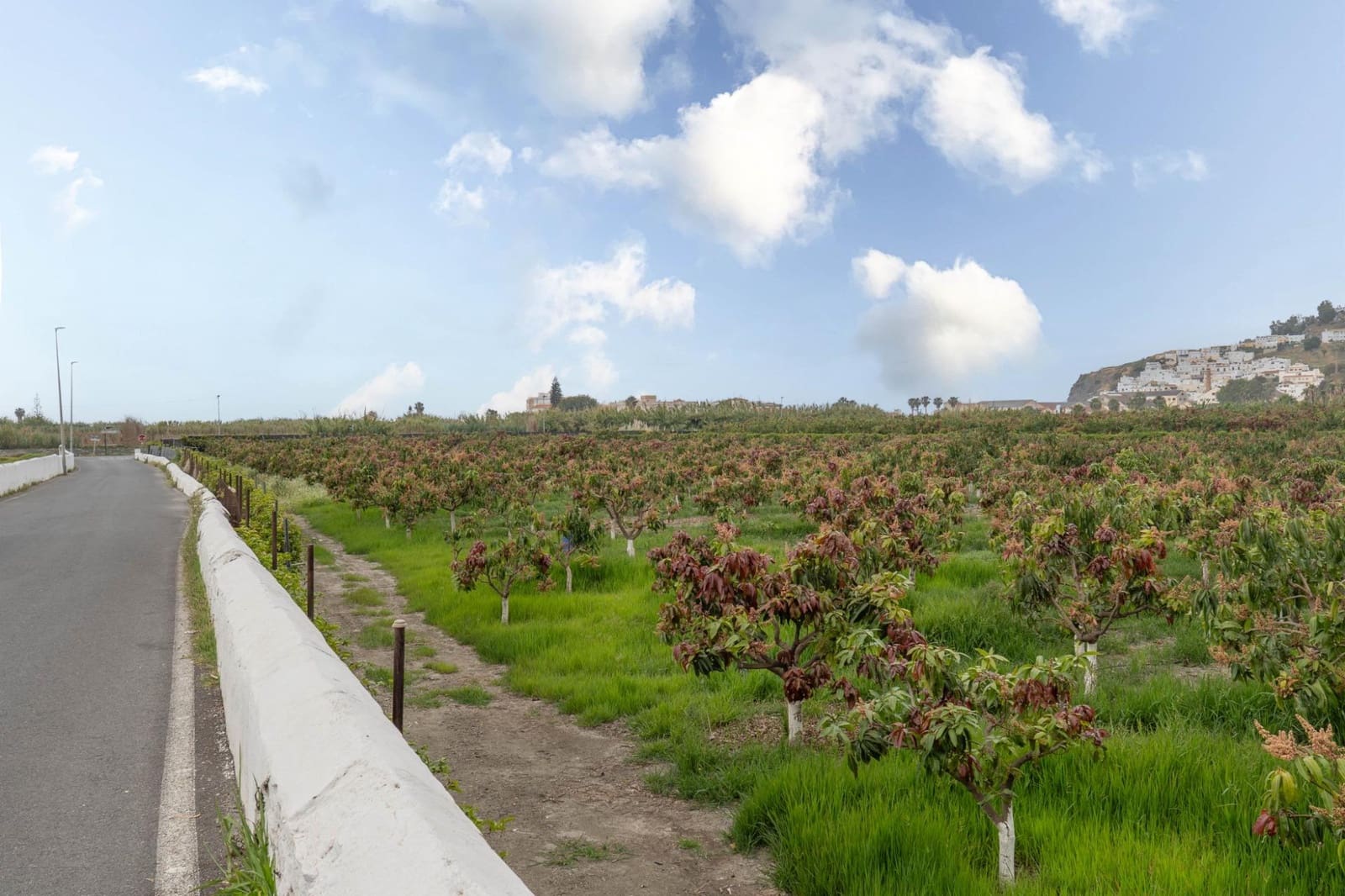 Byggetomt til salgs i Salobrena - € 2 000 000 (Ref: 8979086)