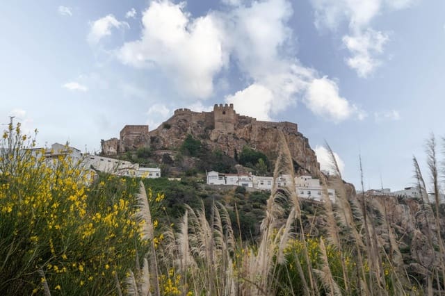 Byggetomt til salgs i Salobreña - € 2 000 000 (Ref: 8979086)