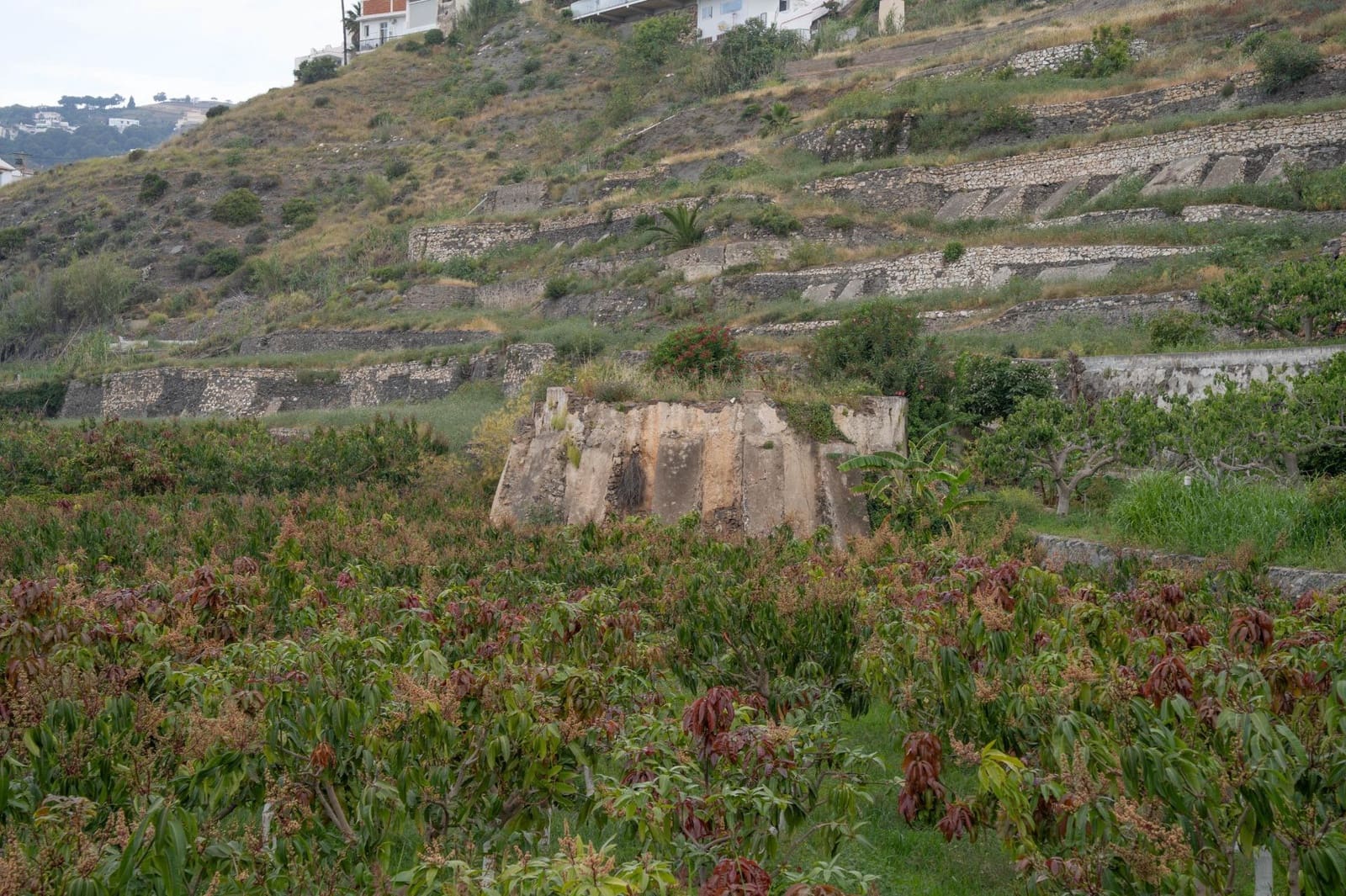 Byggetomt til salgs i Salobrena - € 2 000 000 (Ref: 8979086)