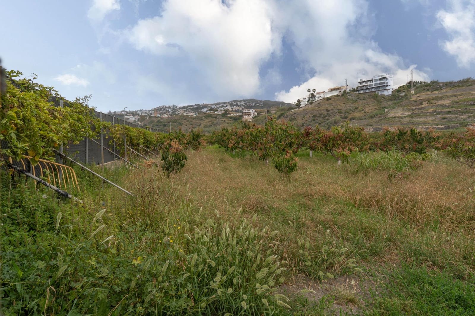 Byggetomt til salgs i Salobrena - € 2 000 000 (Ref: 8979086)