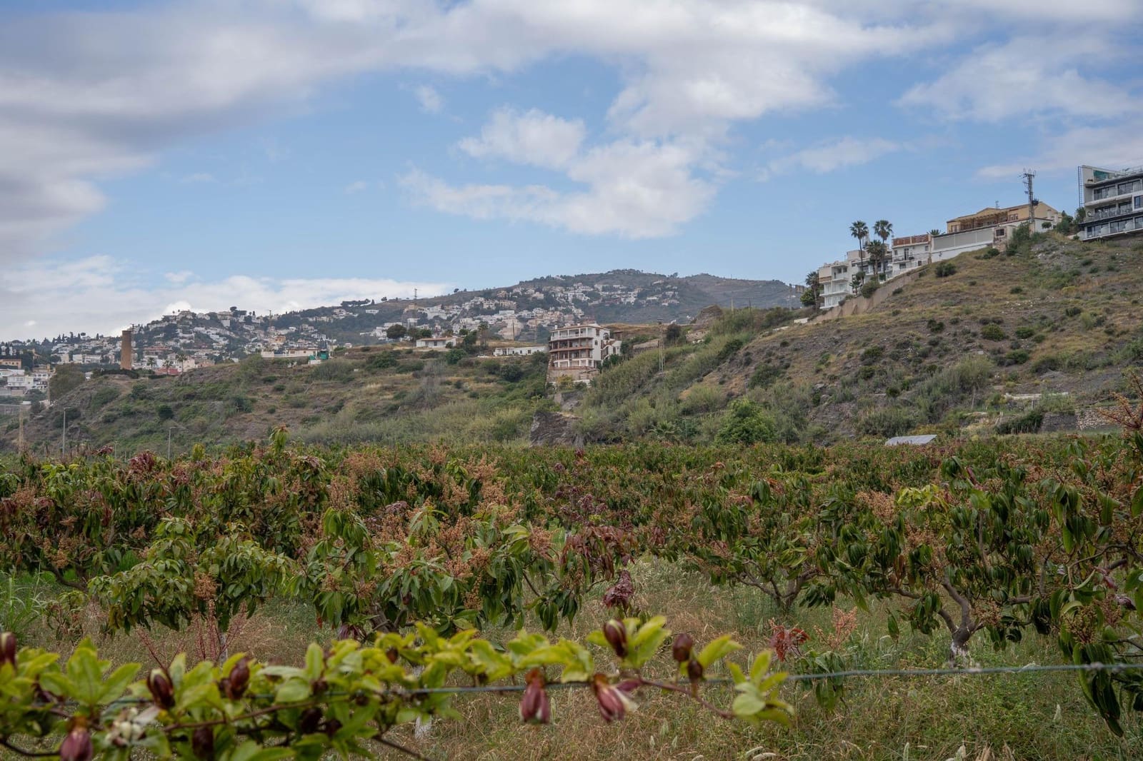 Byggetomt til salgs i Salobrena - € 2 000 000 (Ref: 8979086)