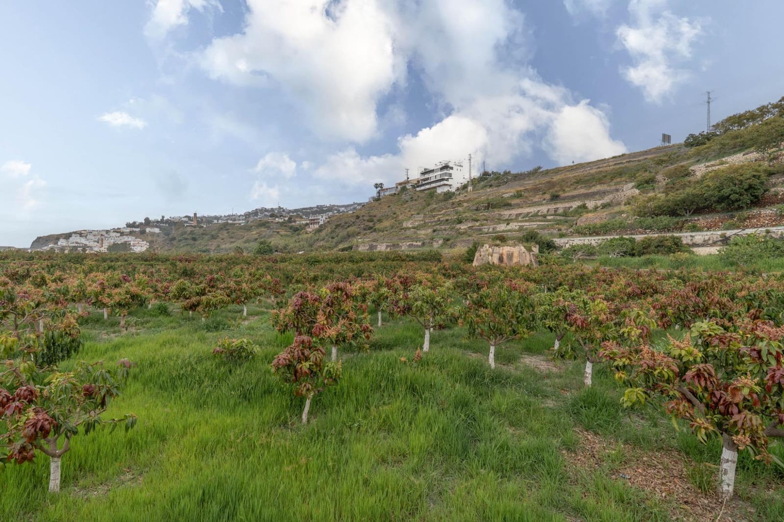 Byggetomt til salgs i Salobrena - € 2 000 000 (Ref: 8979086)