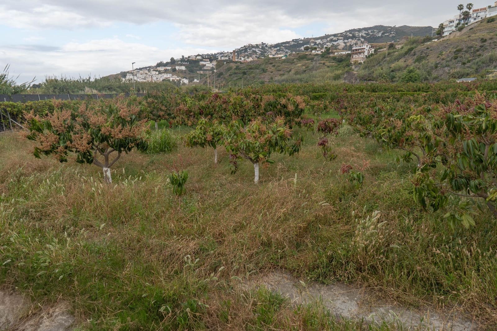 Byggetomt til salgs i Salobrena - € 2 000 000 (Ref: 8979086)