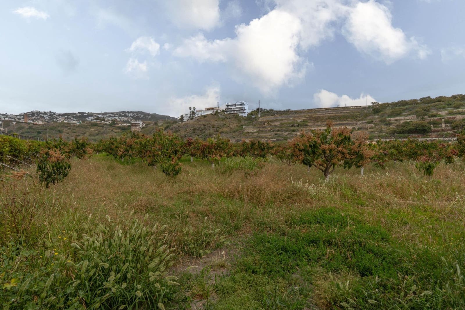 Byggetomt til salgs i Salobrena - € 2 000 000 (Ref: 8979086)