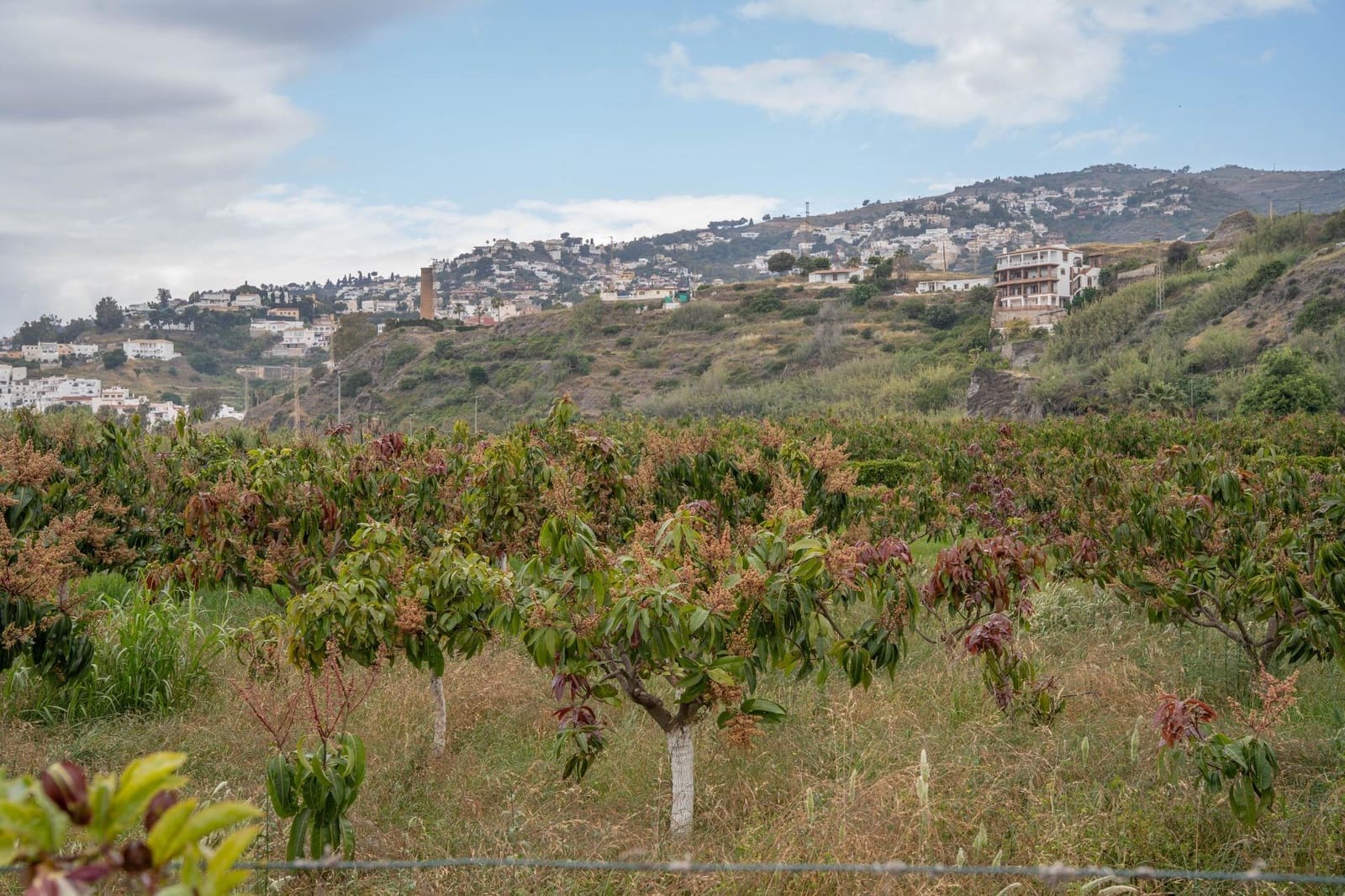 Byggetomt til salgs i Salobrena - € 2 000 000 (Ref: 8979086)