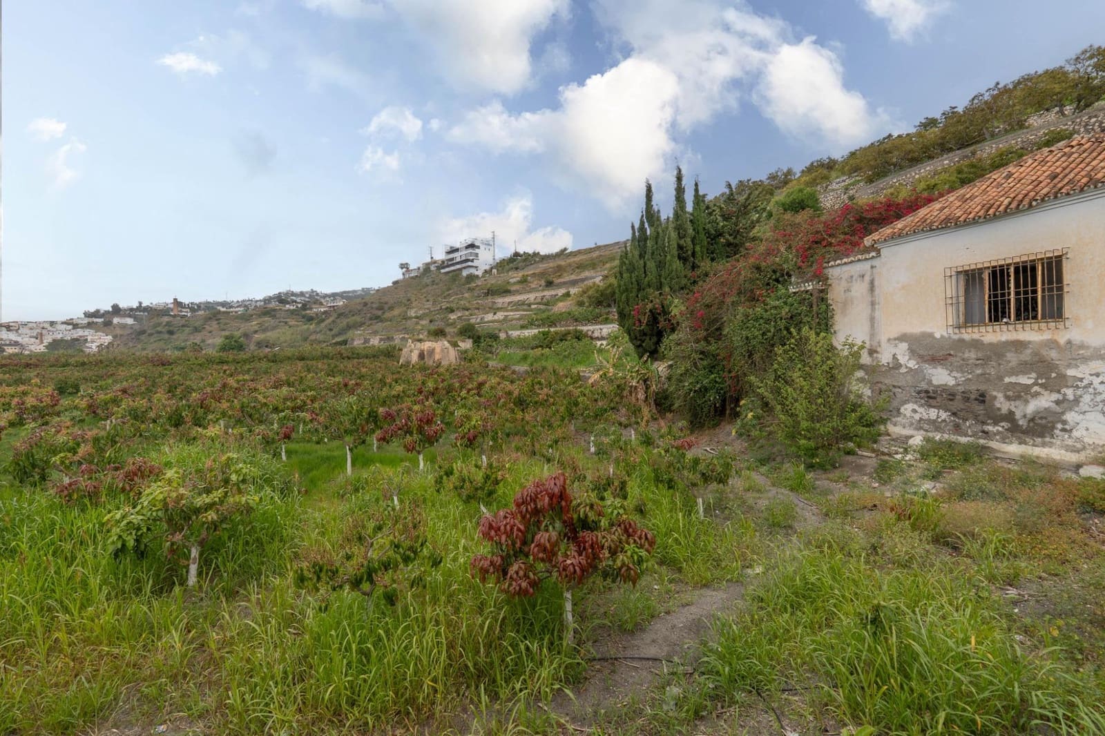 Byggetomt til salgs i Salobrena - € 2 000 000 (Ref: 8979086)