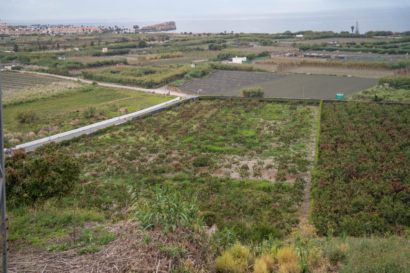 Byggetomt til salgs i Salobrena - € 2 000 000 (Ref: 8979086)