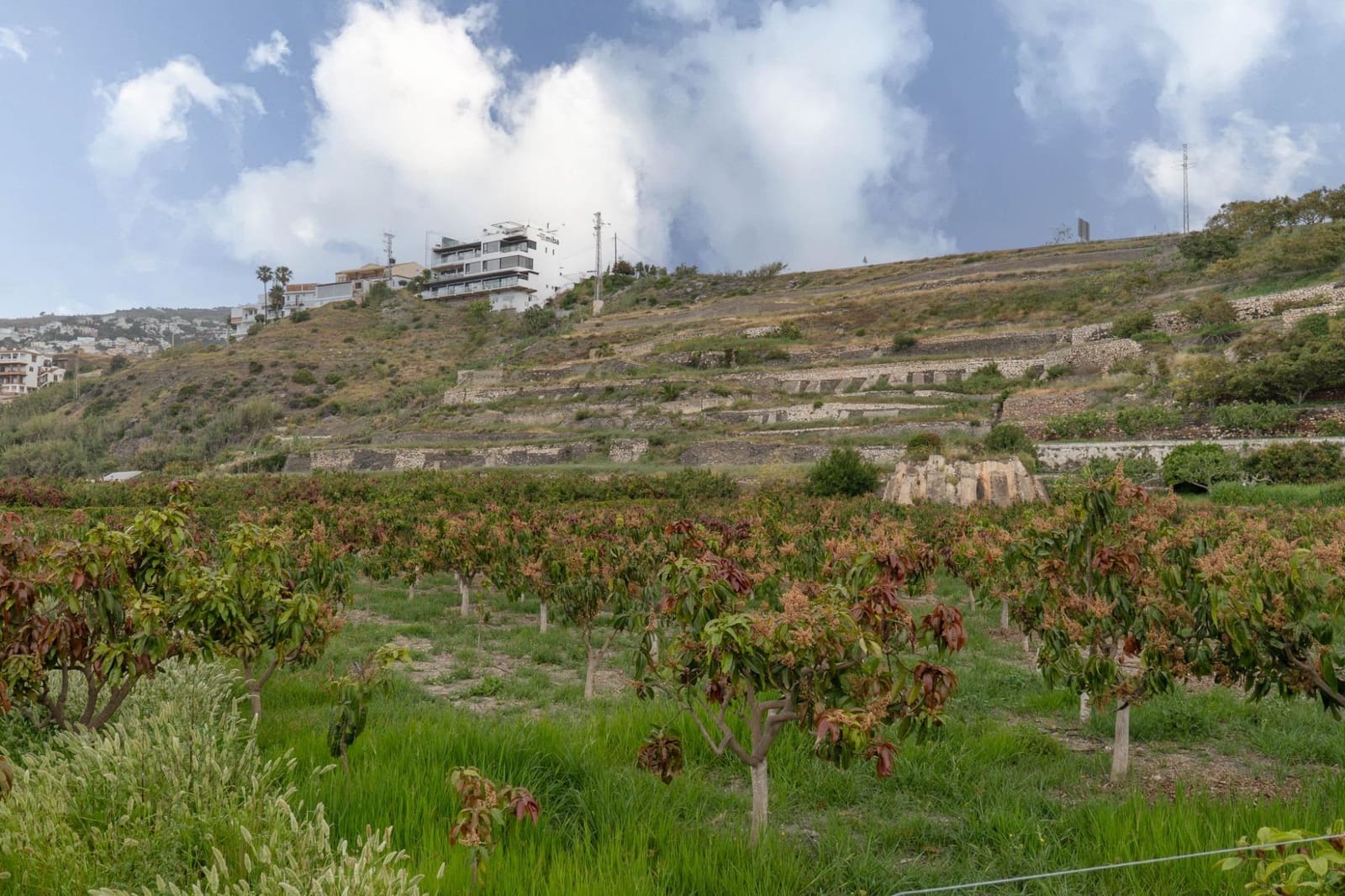 Byggetomt til salgs i Salobrena - € 2 000 000 (Ref: 8979086)