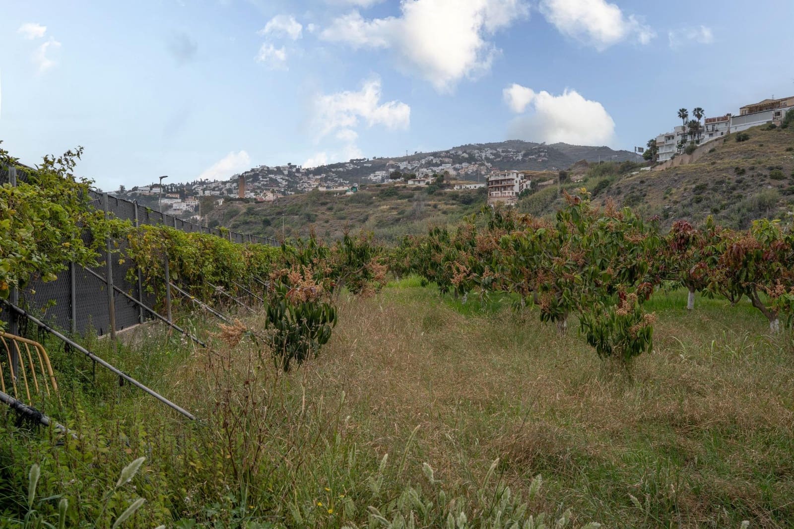 Byggetomt til salgs i Salobrena - € 2 000 000 (Ref: 8979086)