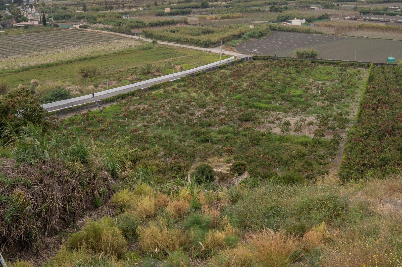 Byggetomt til salgs i Salobrena - € 2 000 000 (Ref: 8979086)