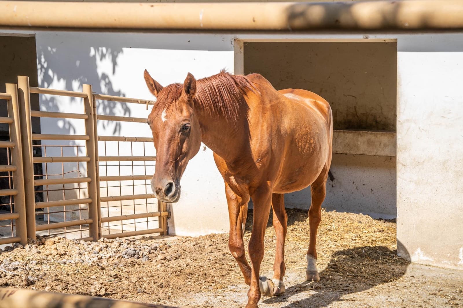 Quinta/Casa Rural para venda em Huetor Vega com piscina - 230 000 € (Ref: 9026674)