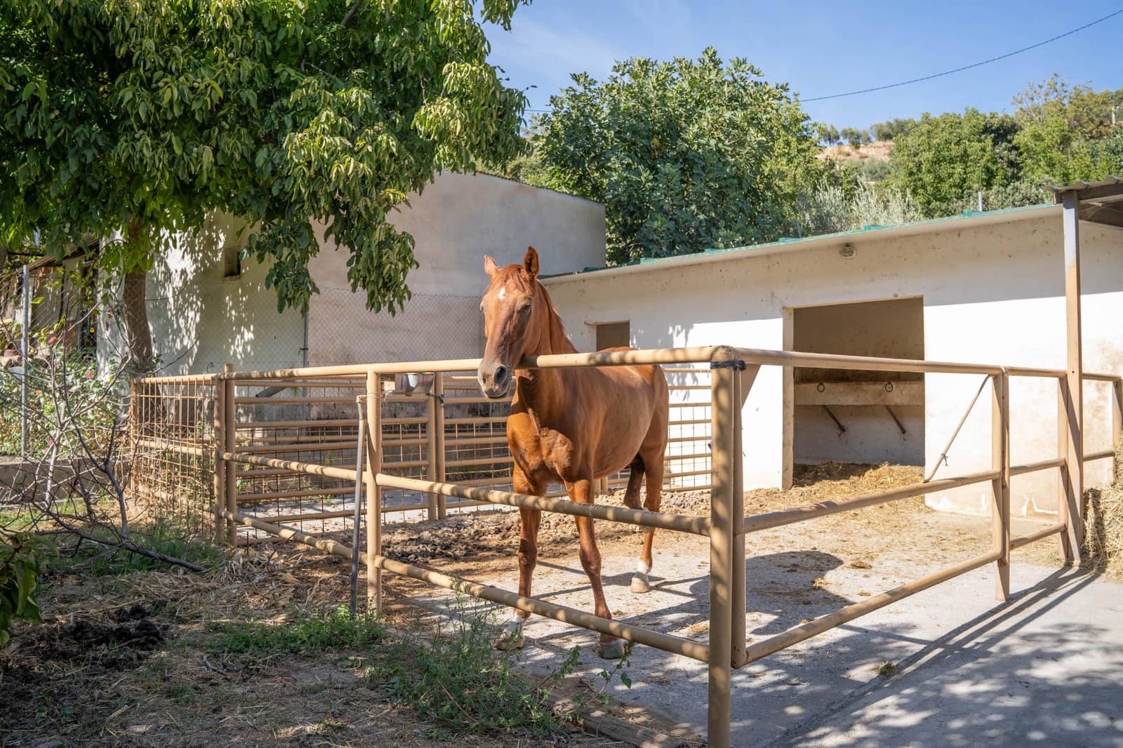 Quinta/Casa Rural para venda em Huetor Vega com piscina - 230 000 € (Ref: 9026674)
