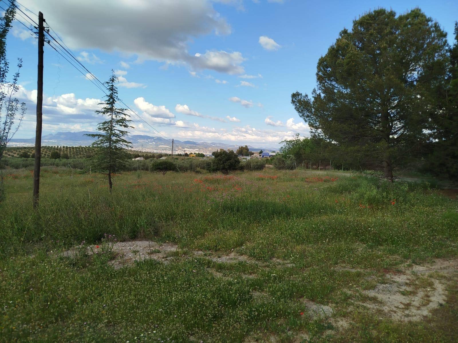 Grunde uden byggetilladelser til salg i Las Gabias - € 200.000 (Ref: 9048712)