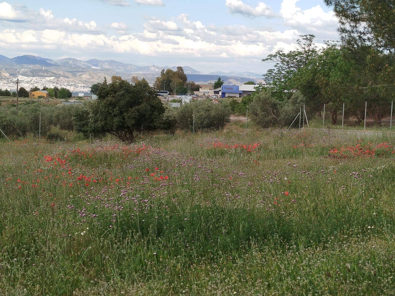 Grunde uden byggetilladelser til salg i Las Gabias - € 200.000 (Ref: 9048712)