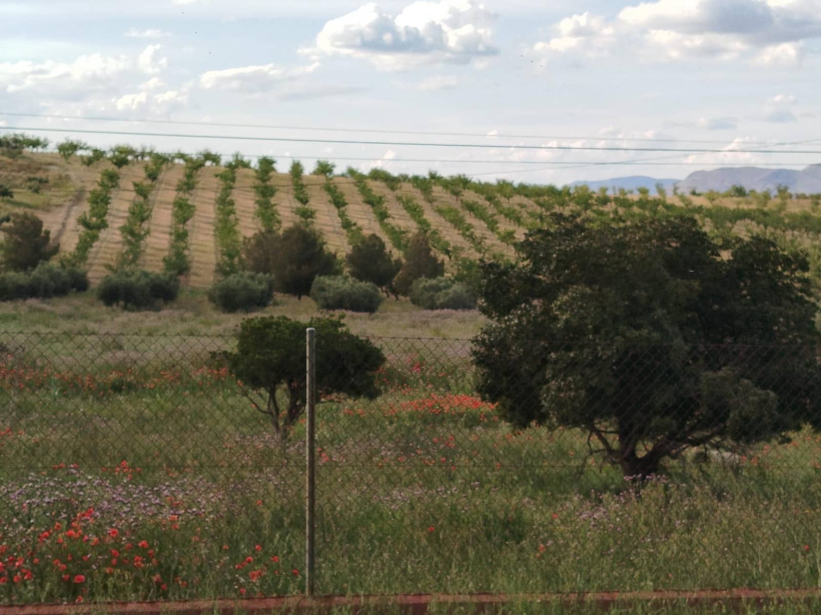 Grunde uden byggetilladelser til salg i Las Gabias - € 200.000 (Ref: 9048712)