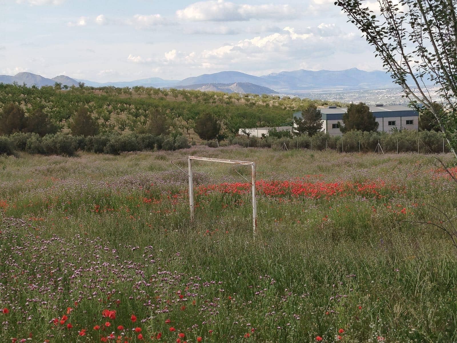 Grunde uden byggetilladelser til salg i Las Gabias - € 200.000 (Ref: 9048712)