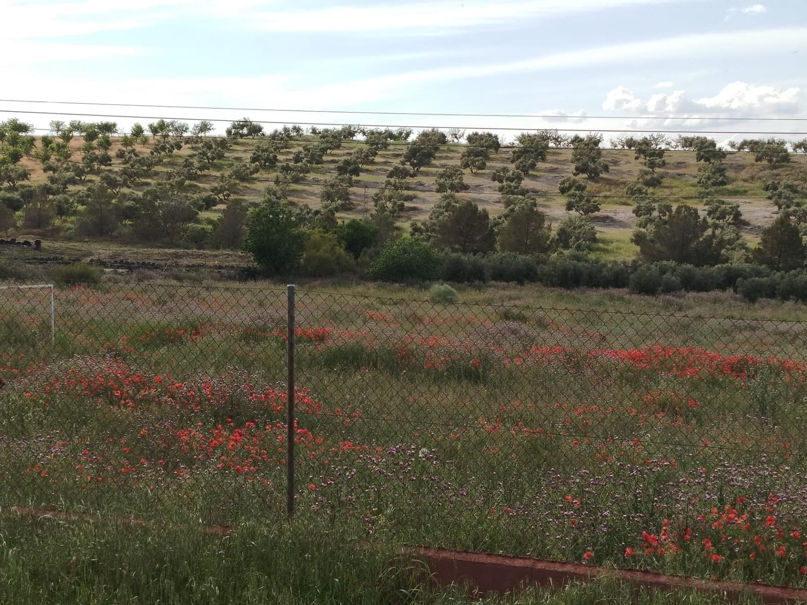 Grunde uden byggetilladelser til salg i Las Gabias - € 200.000 (Ref: 9048712)