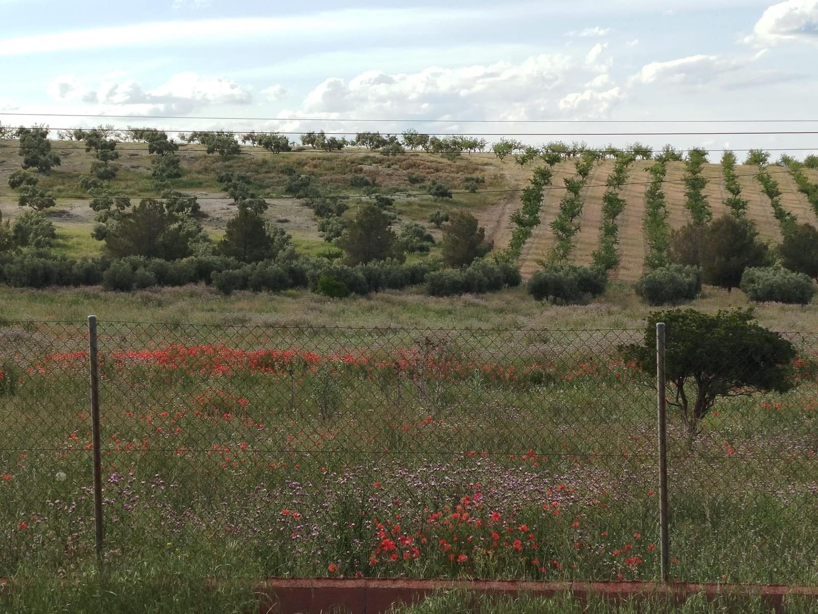 Grunde uden byggetilladelser til salg i Las Gabias - € 200.000 (Ref: 9048712)