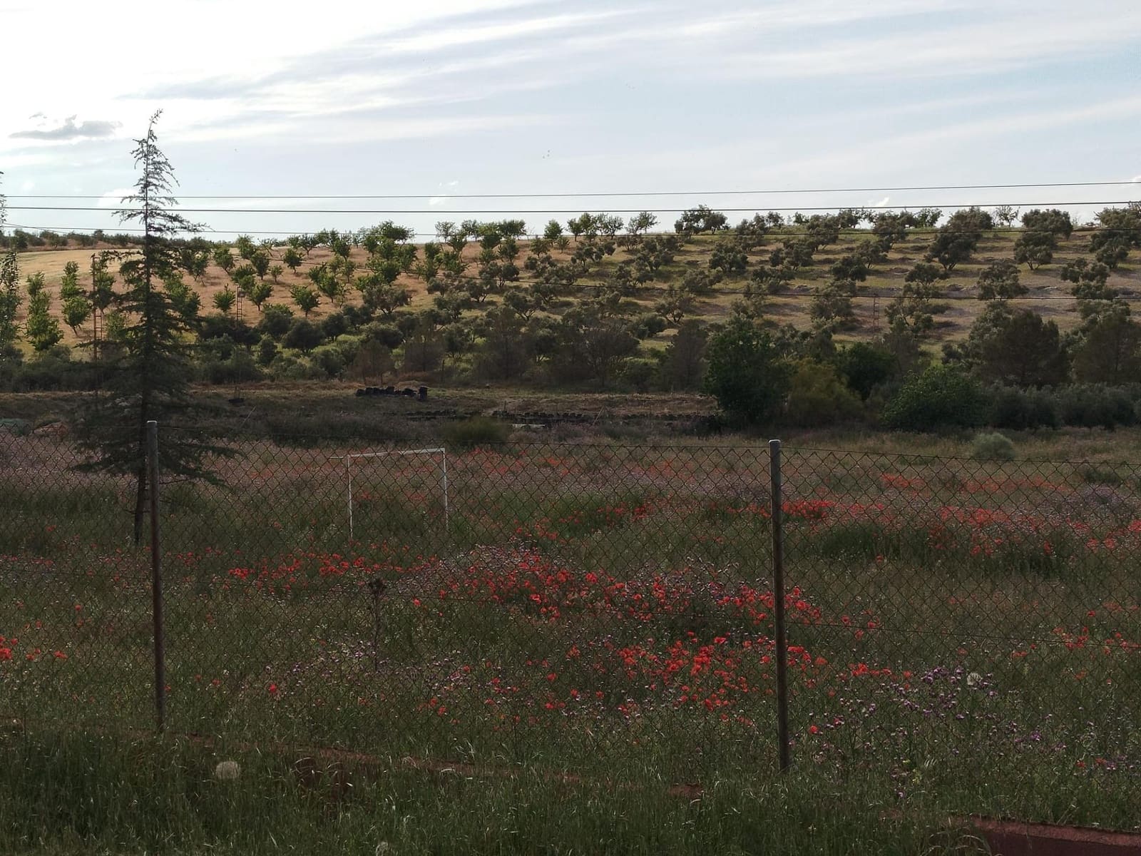 Grunde uden byggetilladelser til salg i Las Gabias - € 200.000 (Ref: 9048712)