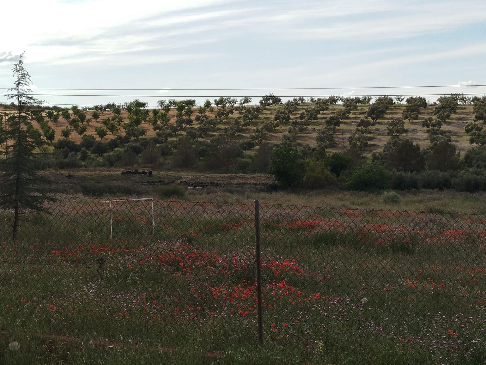 Grunde uden byggetilladelser til salg i Las Gabias - € 200.000 (Ref: 9048712)