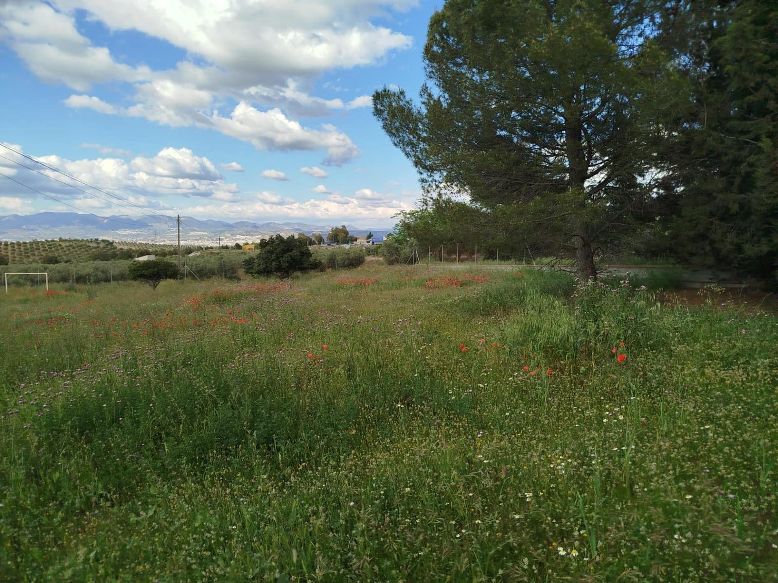 Grunde uden byggetilladelser til salg i Las Gabias - € 200.000 (Ref: 9048712)