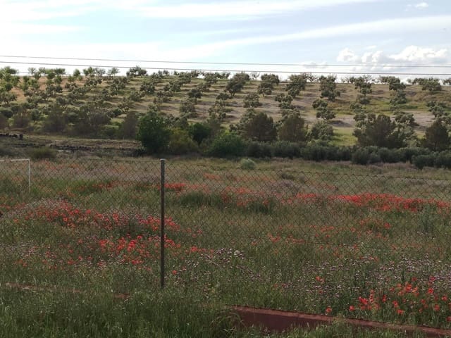 Grunde uden byggetilladelser til salg i Las Gabias - € 200.000 (Ref: 9048712)