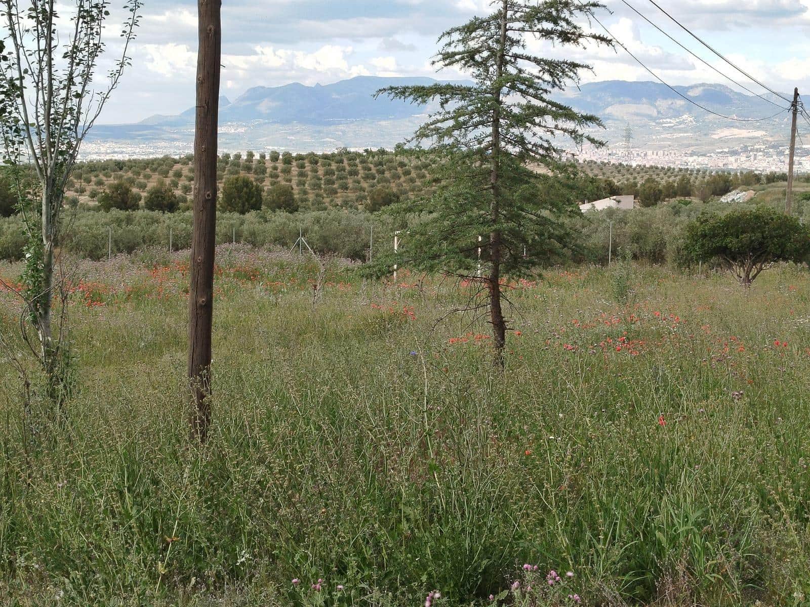 Grunde uden byggetilladelser til salg i Las Gabias - € 200.000 (Ref: 9048712)