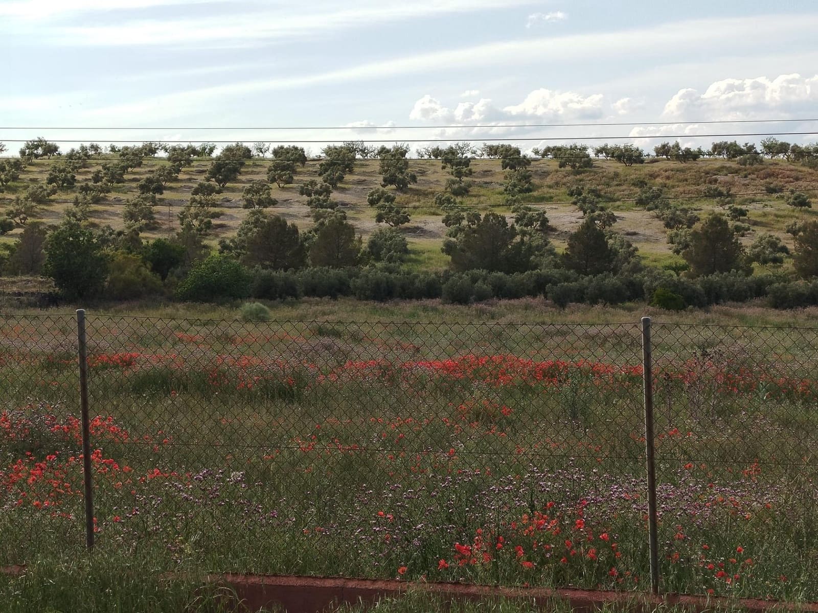 Grunde uden byggetilladelser til salg i Las Gabias - € 200.000 (Ref: 9048712)