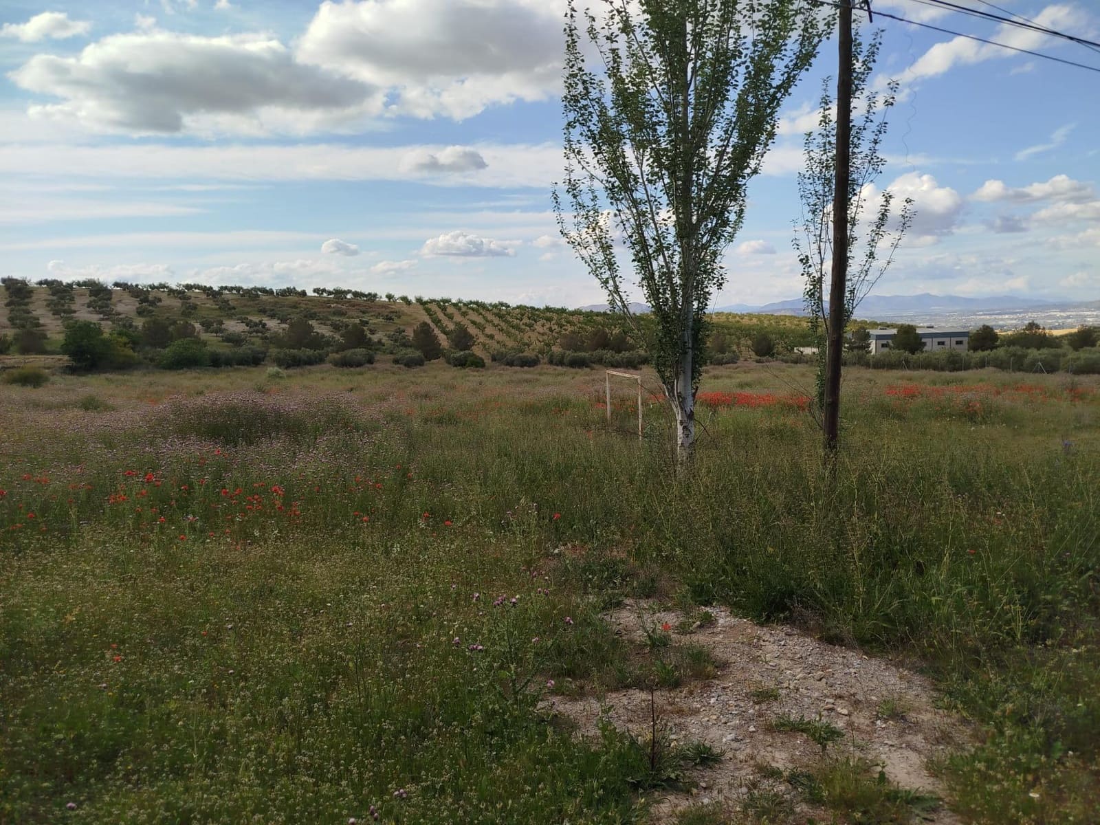 Grunde uden byggetilladelser til salg i Las Gabias - € 200.000 (Ref: 9048712)