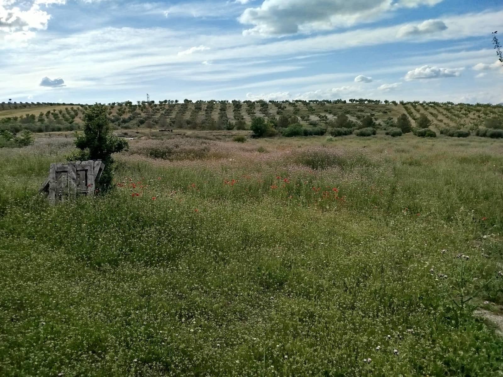 Grunde uden byggetilladelser til salg i Las Gabias - € 200.000 (Ref: 9048712)