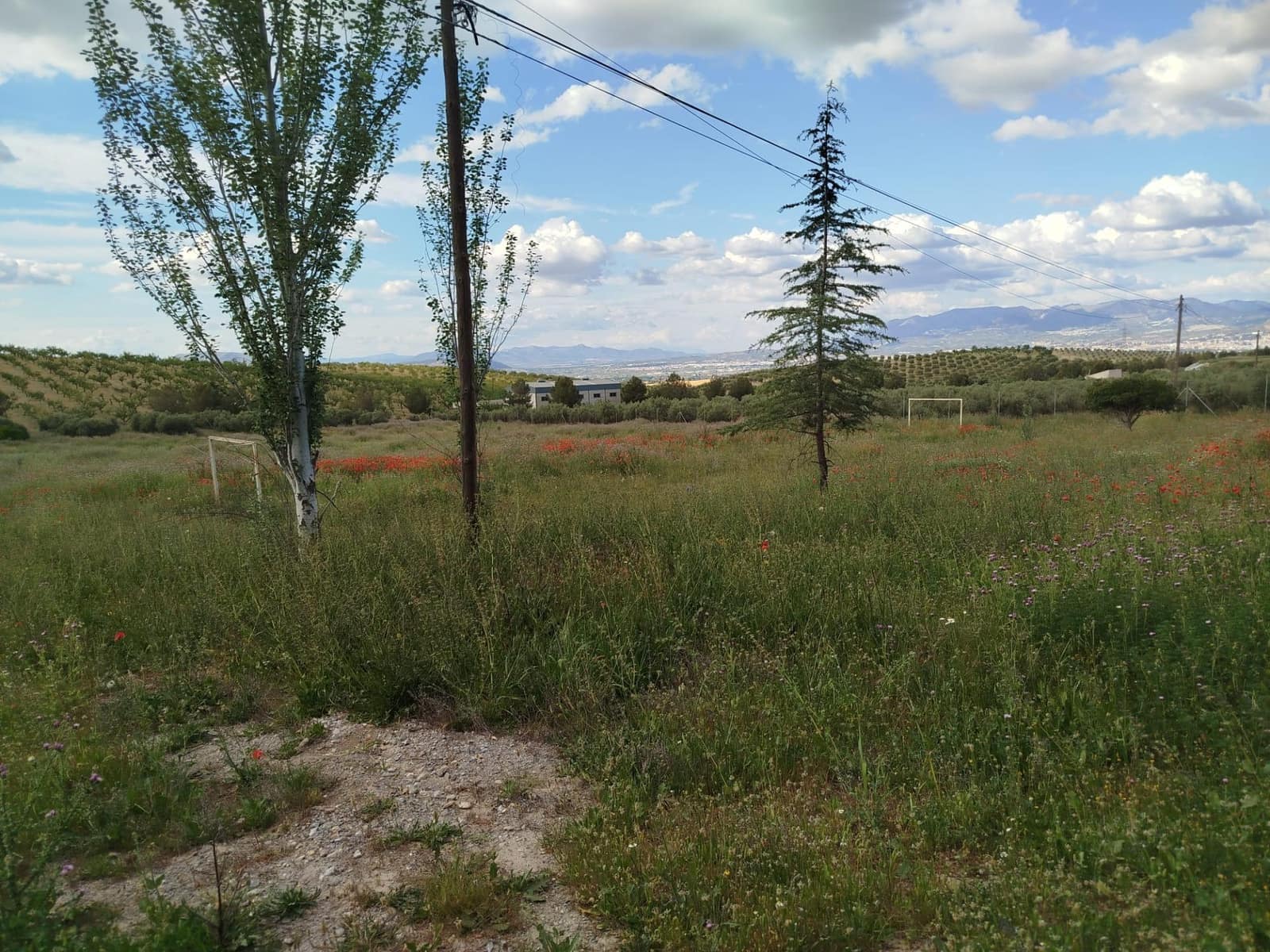 Grunde uden byggetilladelser til salg i Las Gabias - € 200.000 (Ref: 9048712)