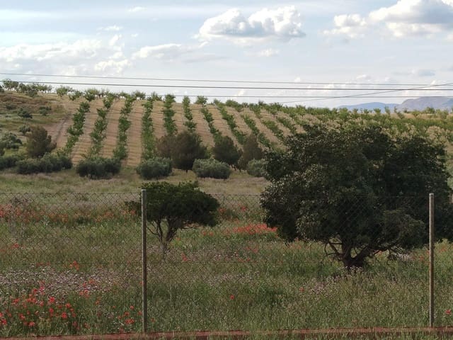 Grunde uden byggetilladelser til salg i Las Gabias - € 200.000 (Ref: 9048712)