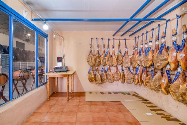 4 bedroom Business for sale in Alhendín with pool - € 1,190,000 (Ref: 9089722)