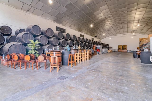 4 bedroom Business for sale in Alhendín with pool - € 1,190,000 (Ref: 9089722)