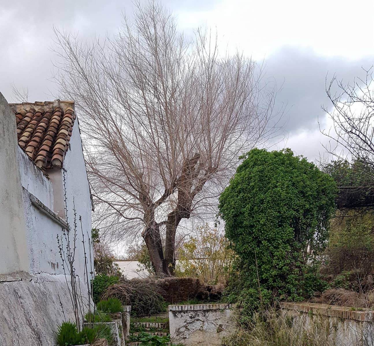 Byggetomt til salgs i La Zubia - € 350 000 (Ref: 9291532)