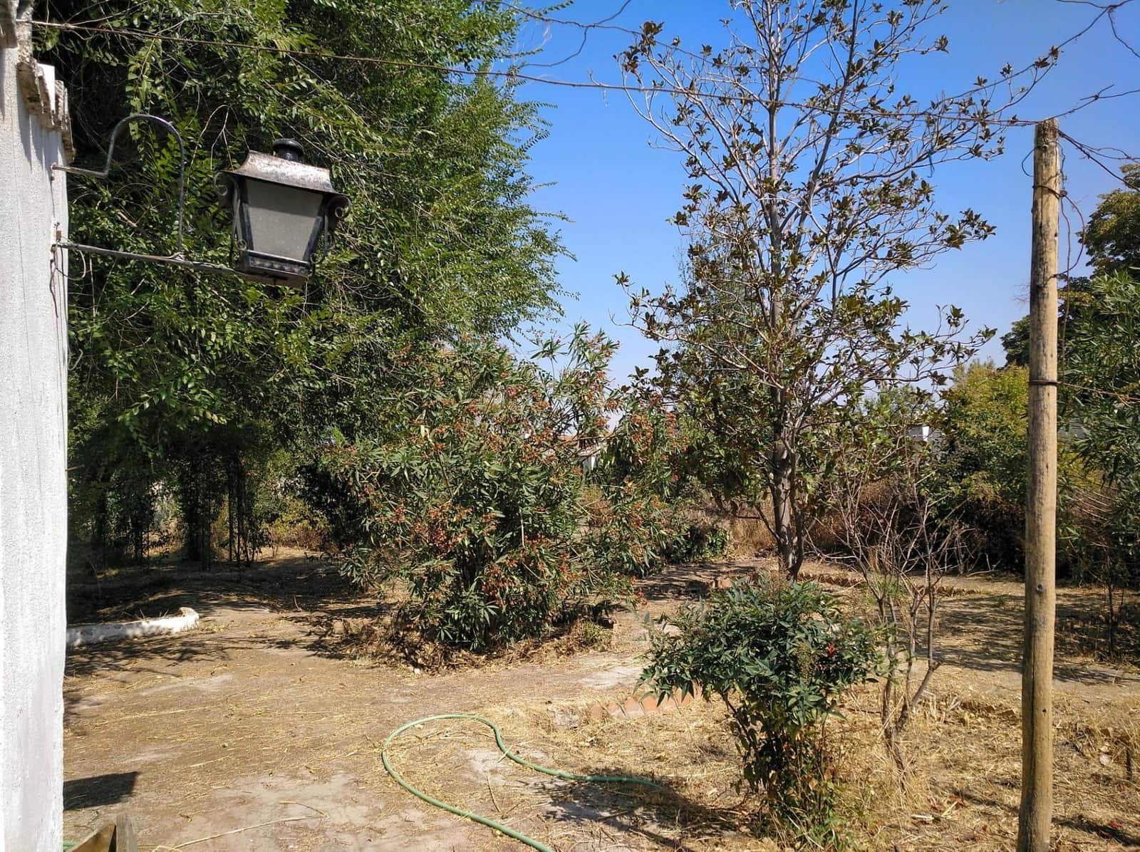 Byggetomt til salgs i La Zubia - € 350 000 (Ref: 9291532)