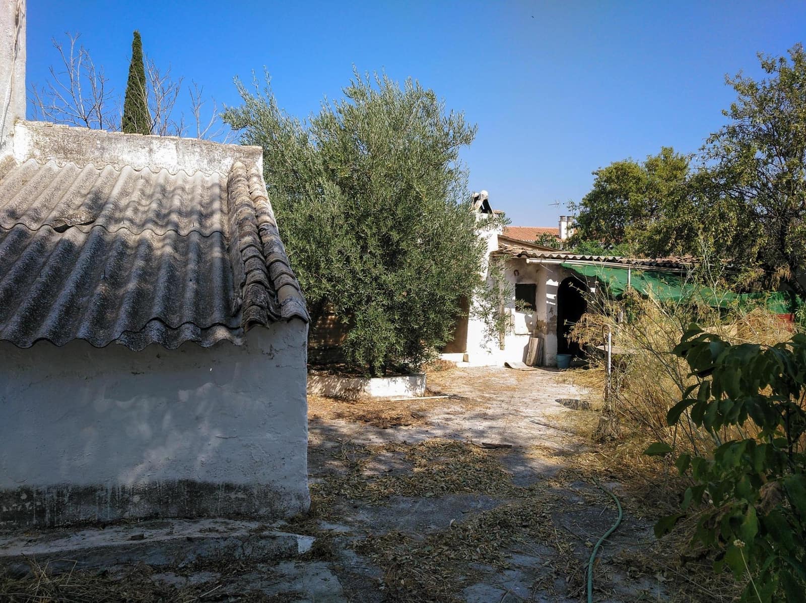 Byggetomt til salgs i La Zubia - € 350 000 (Ref: 9291532)