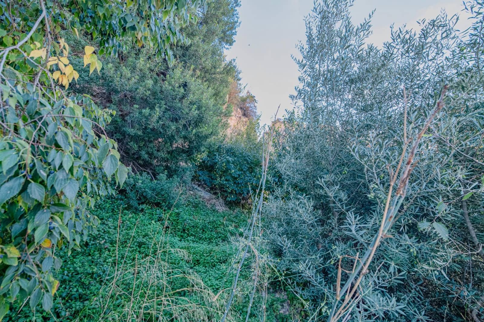 Building Plot for sale in Velez de Benaudalla - € 180,000 (Ref: 9378997)