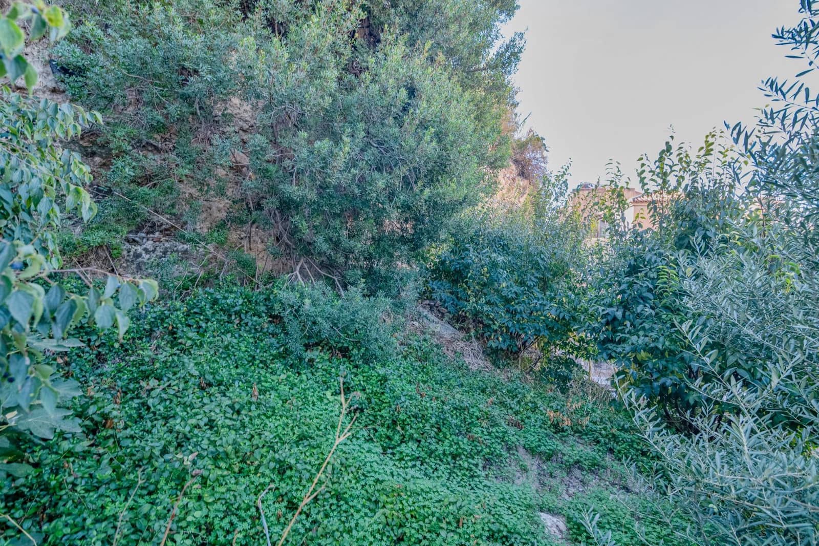 Building Plot for sale in Velez de Benaudalla - € 180,000 (Ref: 9378997)