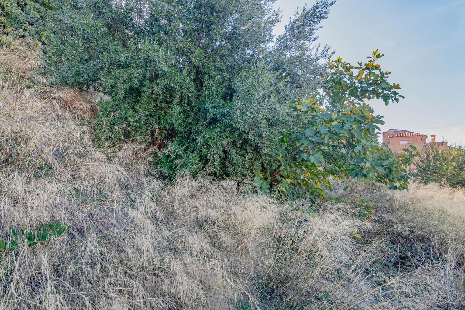 Building Plot for sale in Velez de Benaudalla - € 180,000 (Ref: 9378997)