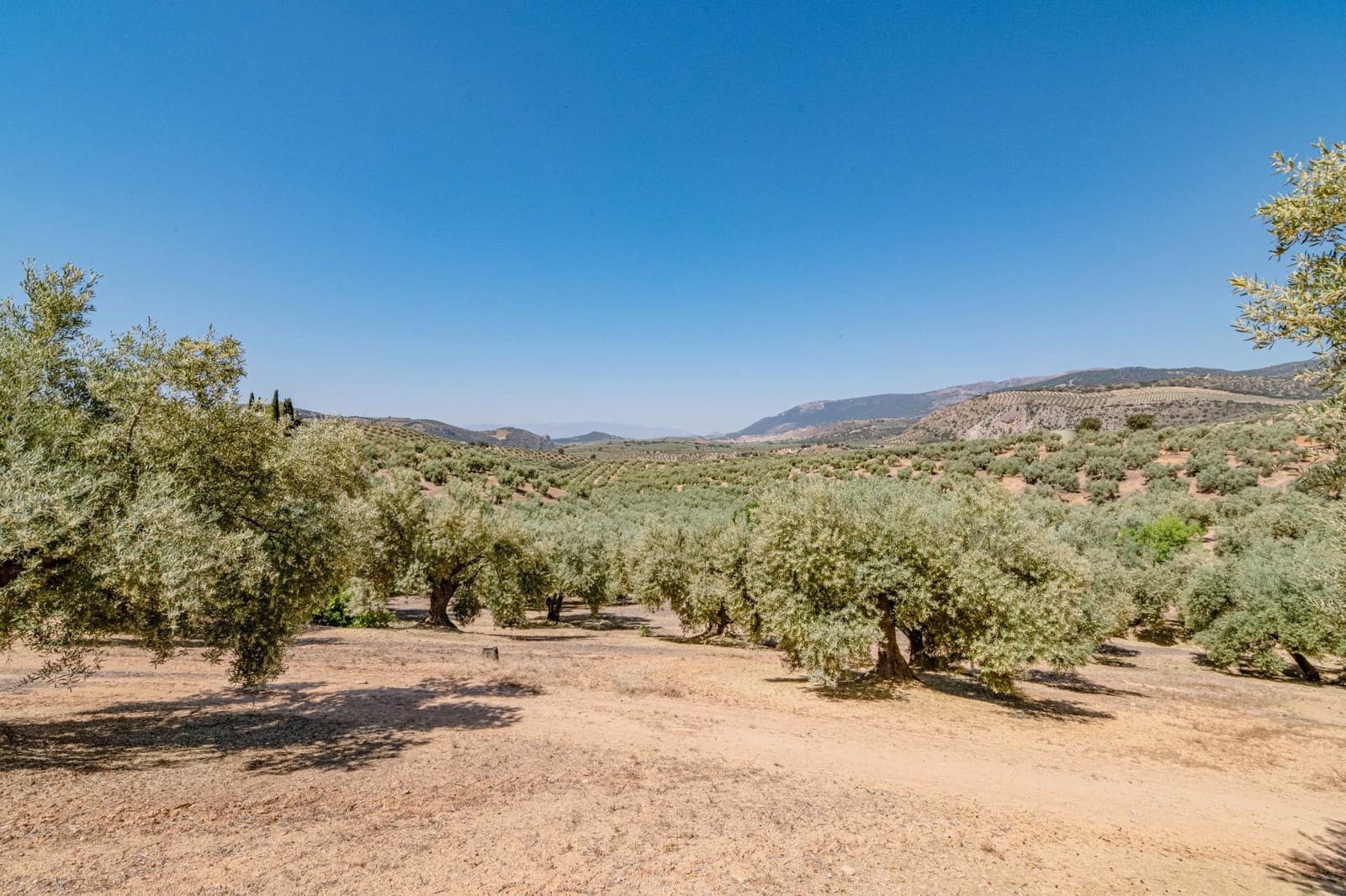 Ubebygd land til salgs i Illora - € 109 000 (Ref: 9414071)