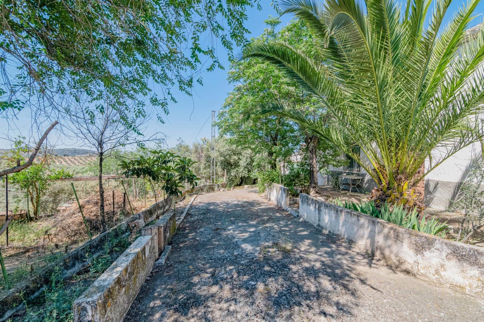 Ubebygd land til salgs i Illora - € 109 000 (Ref: 9414071)