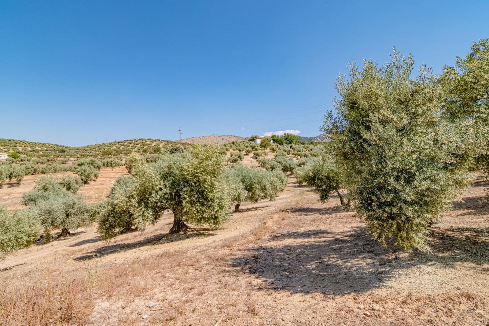 Ubebygd land til salgs i Illora - € 109 000 (Ref: 9414071)