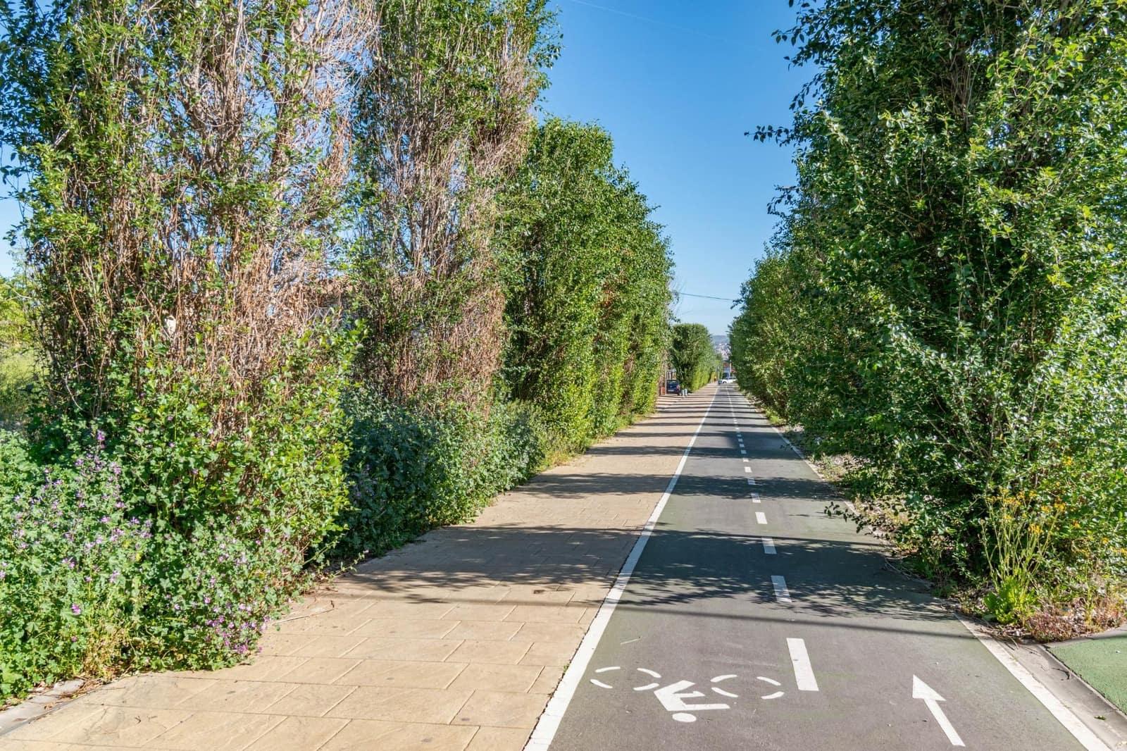 Bedrift til salgs i Ogijares - € 183 000 (Ref: 9419681)