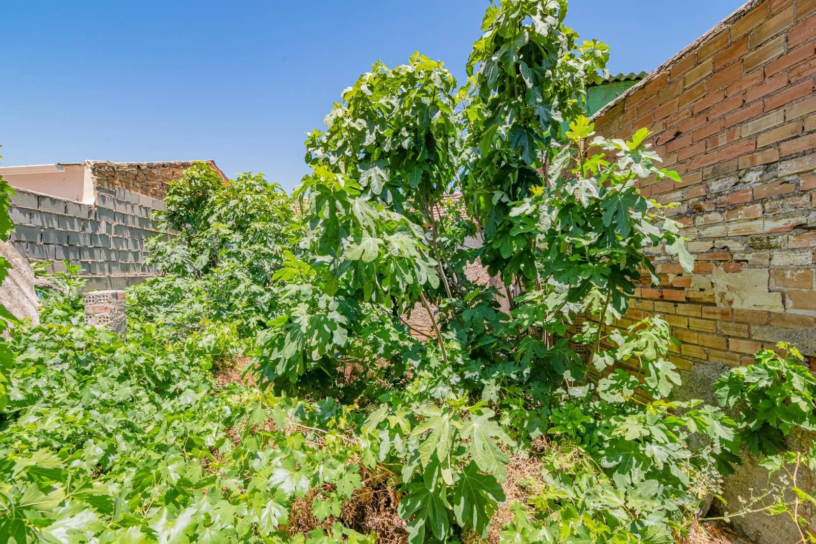 5 sypialnia Dom szeregowy na sprzedaż w Cijuela - 78 000 € (Ref: 9419692)