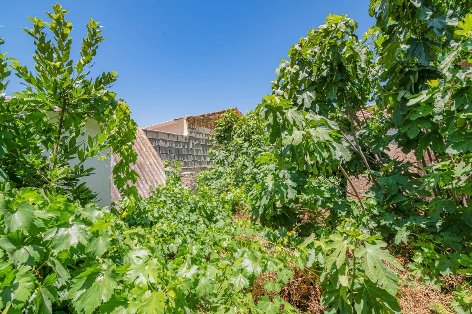 5 sypialnia Dom szeregowy na sprzedaż w Cijuela - 78 000 € (Ref: 9419692)