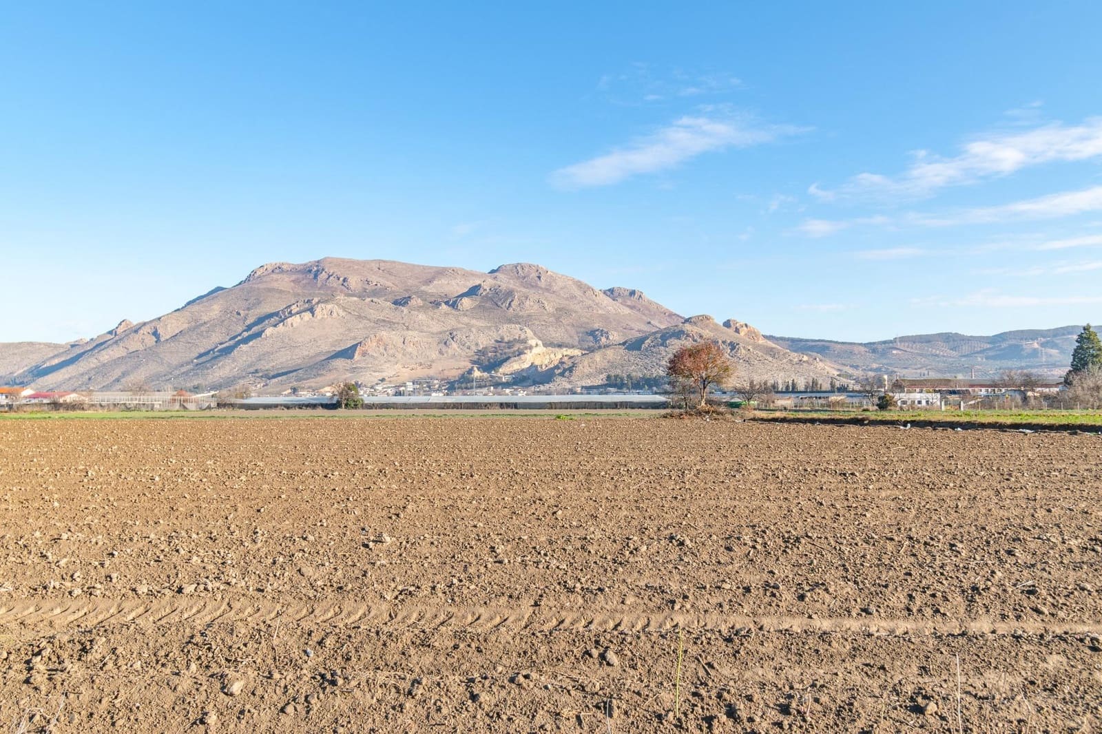 Undeveloped Land for sale in Fuente Vaqueros - € 74,000 (Ref: 9419694)