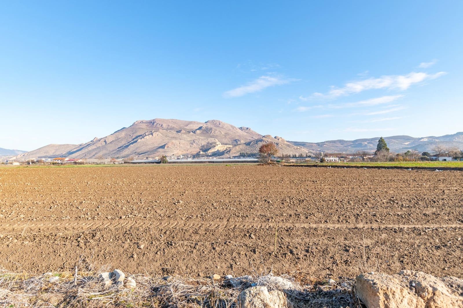 Undeveloped Land for sale in Fuente Vaqueros - € 74,000 (Ref: 9419694)